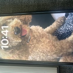 Hundeschule Vogt - Fido