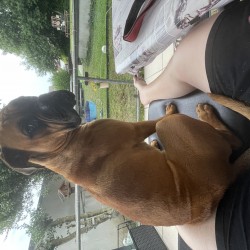 Hundeschule Vogt - Lucy