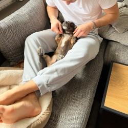 Hundeschule Vogt - Prinz