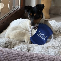 Hundeschule Vogt - Snoopy