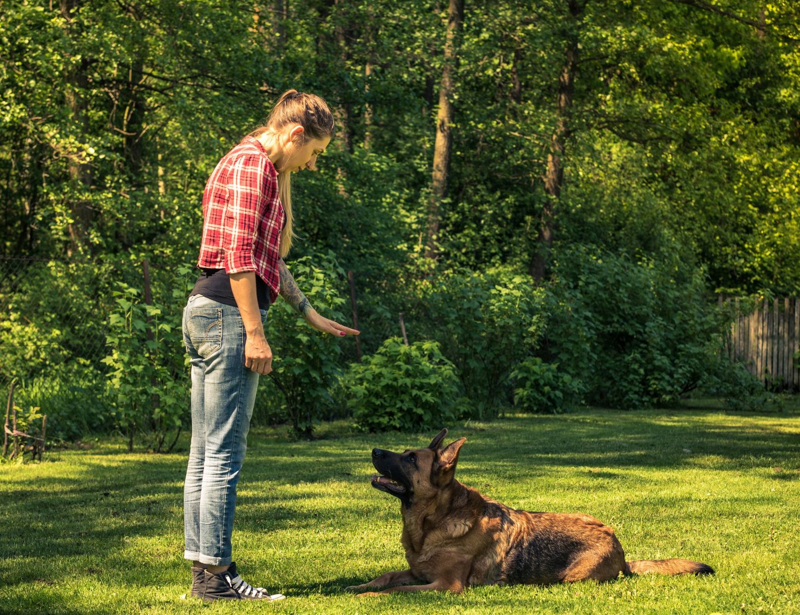 Foto Intensiv Kreatives Distanztraining