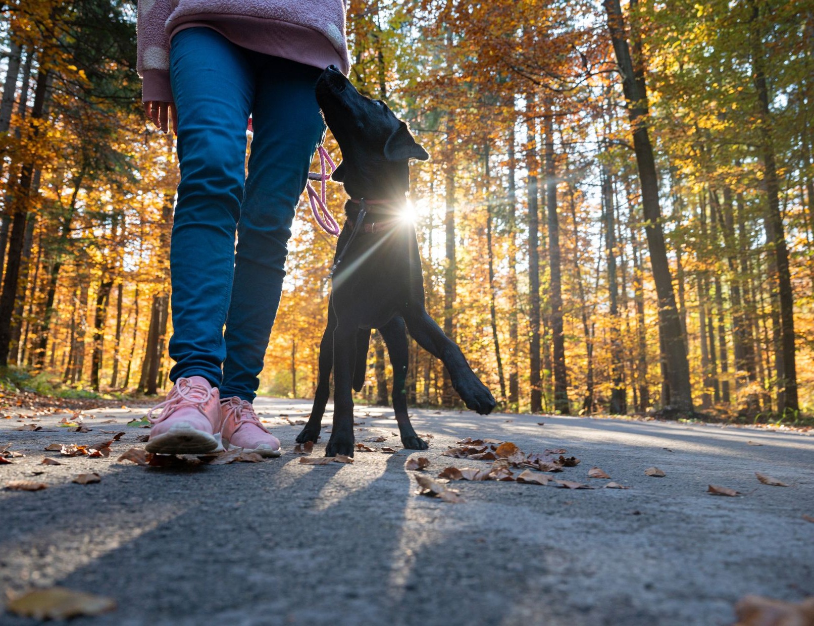 Foto Themenspaziergang  Verbindlichkeit