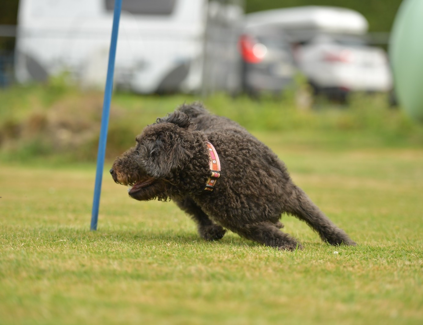 Foto Curving Einsteiger Workshop