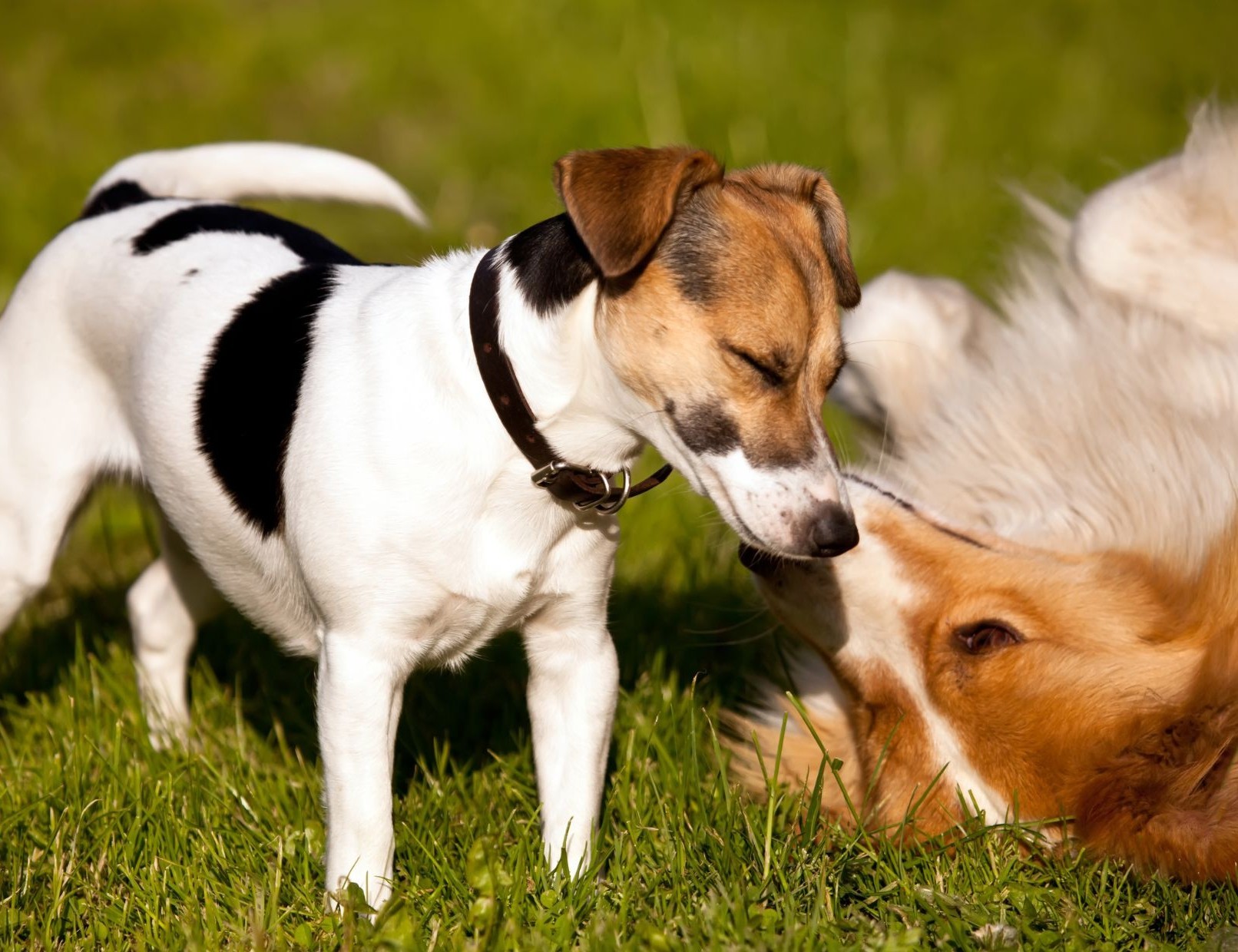 Foto Workshop Kommunikation und Sozialverhalten