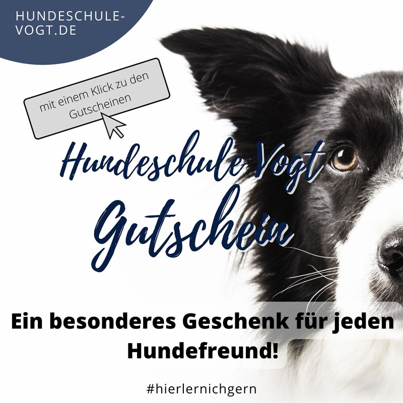 Hundeschule Vogt - Geschenkgutschein