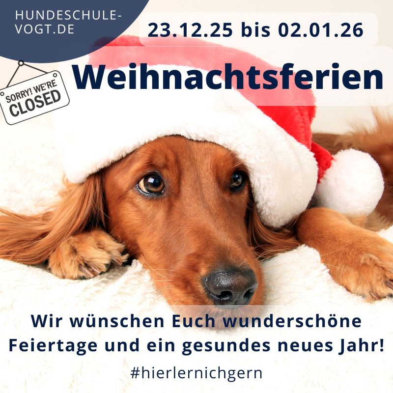 Hundeschule Vogt - Weihnachten 2025